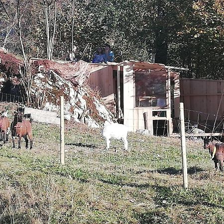 Appartamento Haus Alpin Lofer Esterno foto