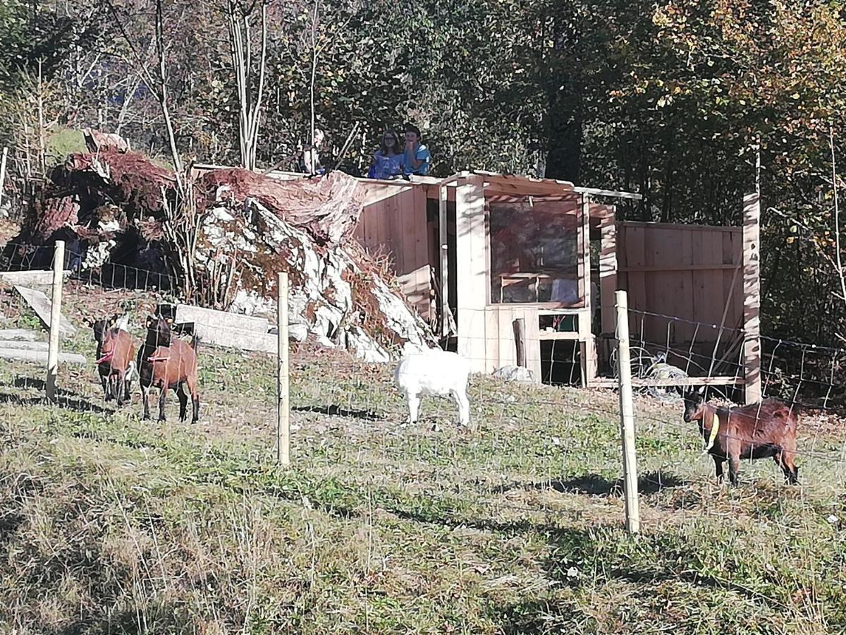 Appartamento Haus Alpin Lofer Esterno foto